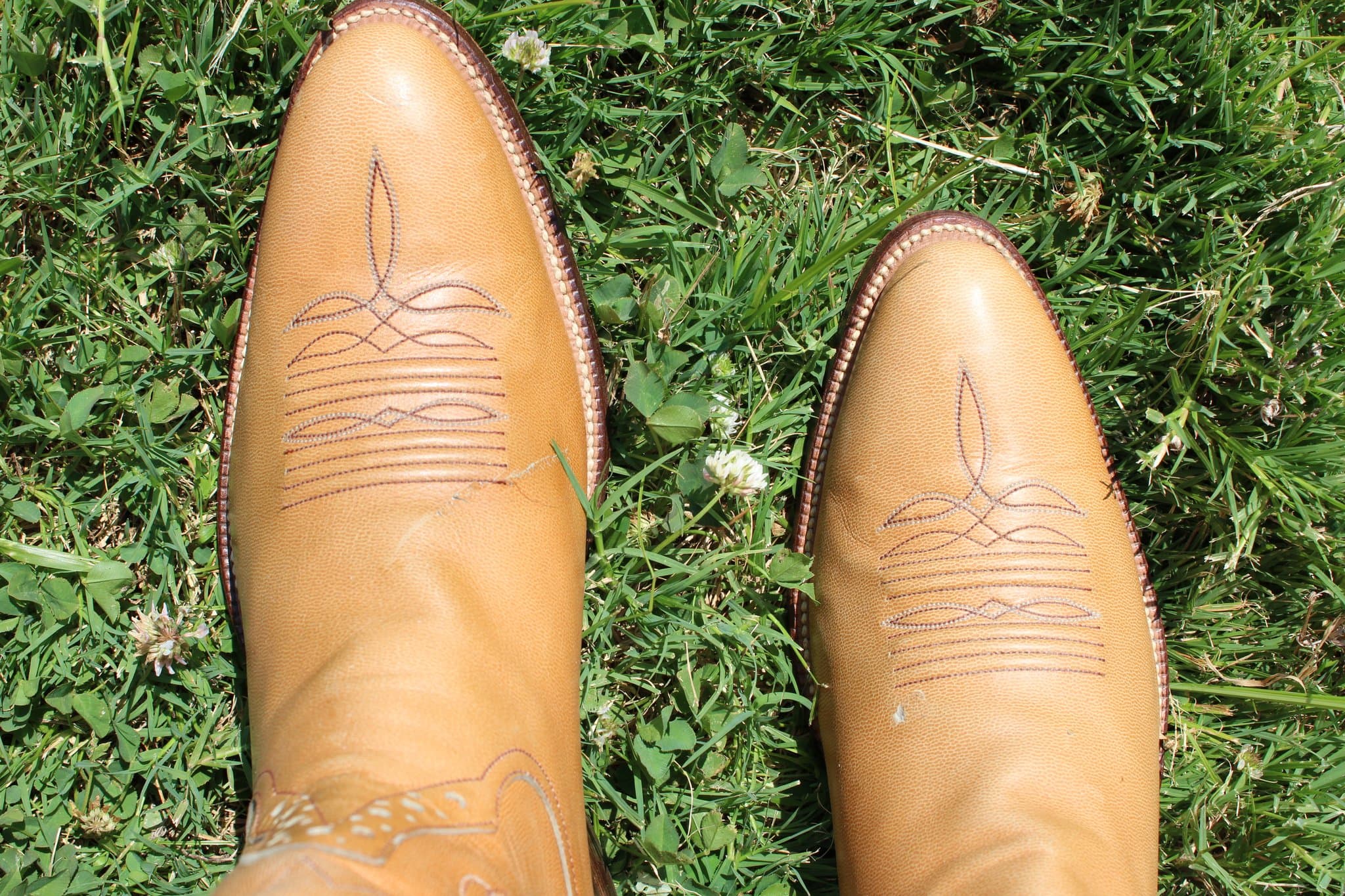 Cutter Bill Tan Calfskin
