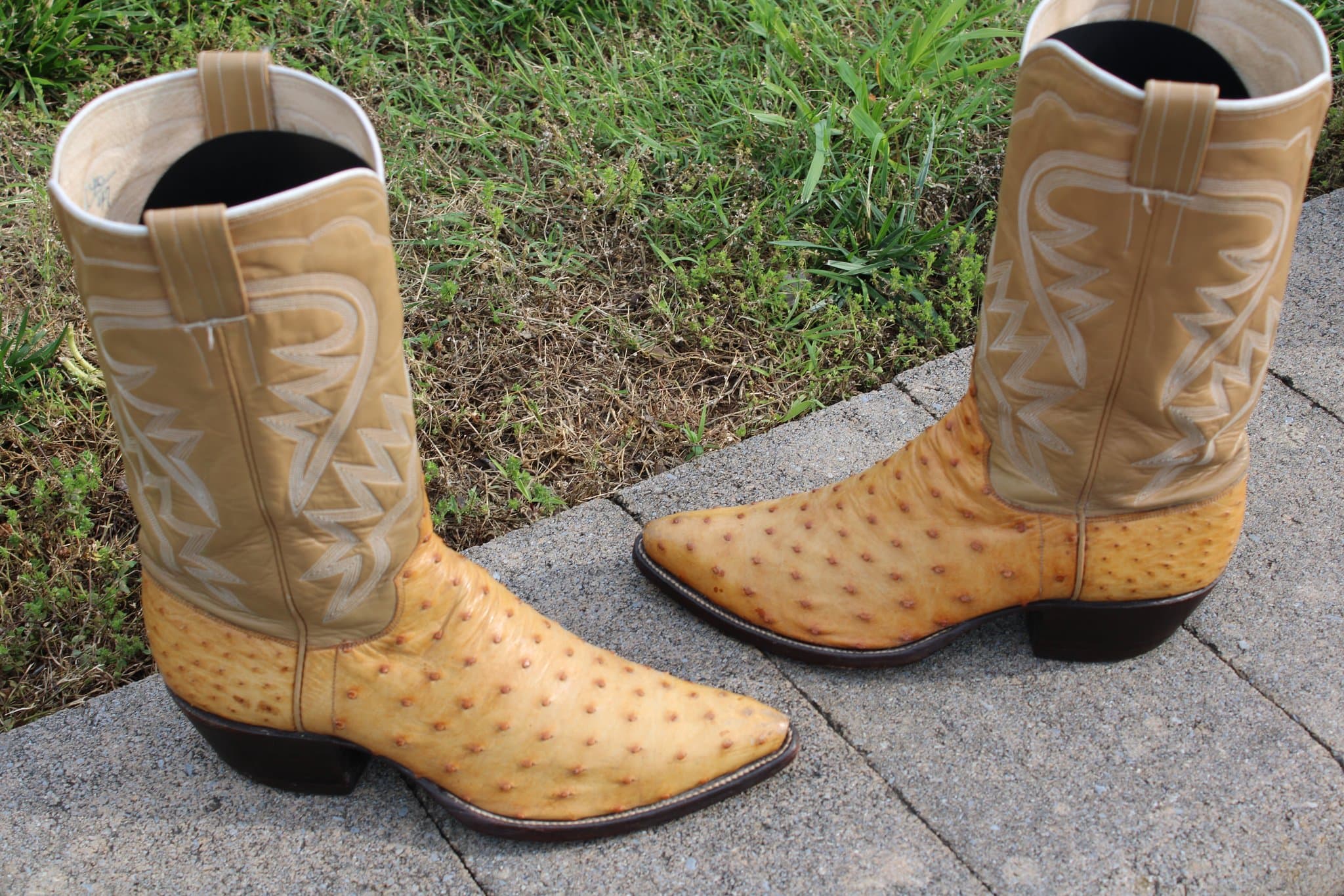 M.L. Leddy’s Butterscotch Ostrich