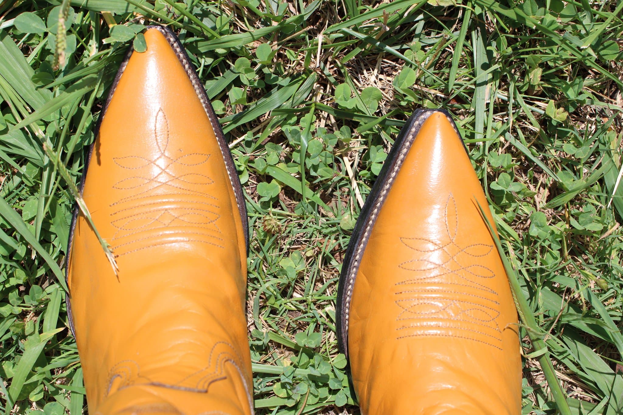Nocona 60’s Era Calfskin