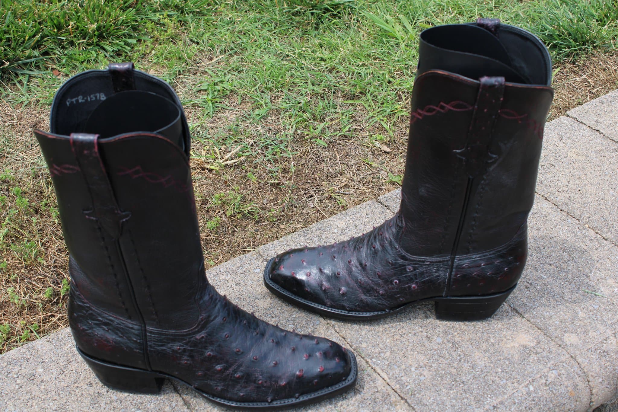 Stallion Black Cherry Ostrich