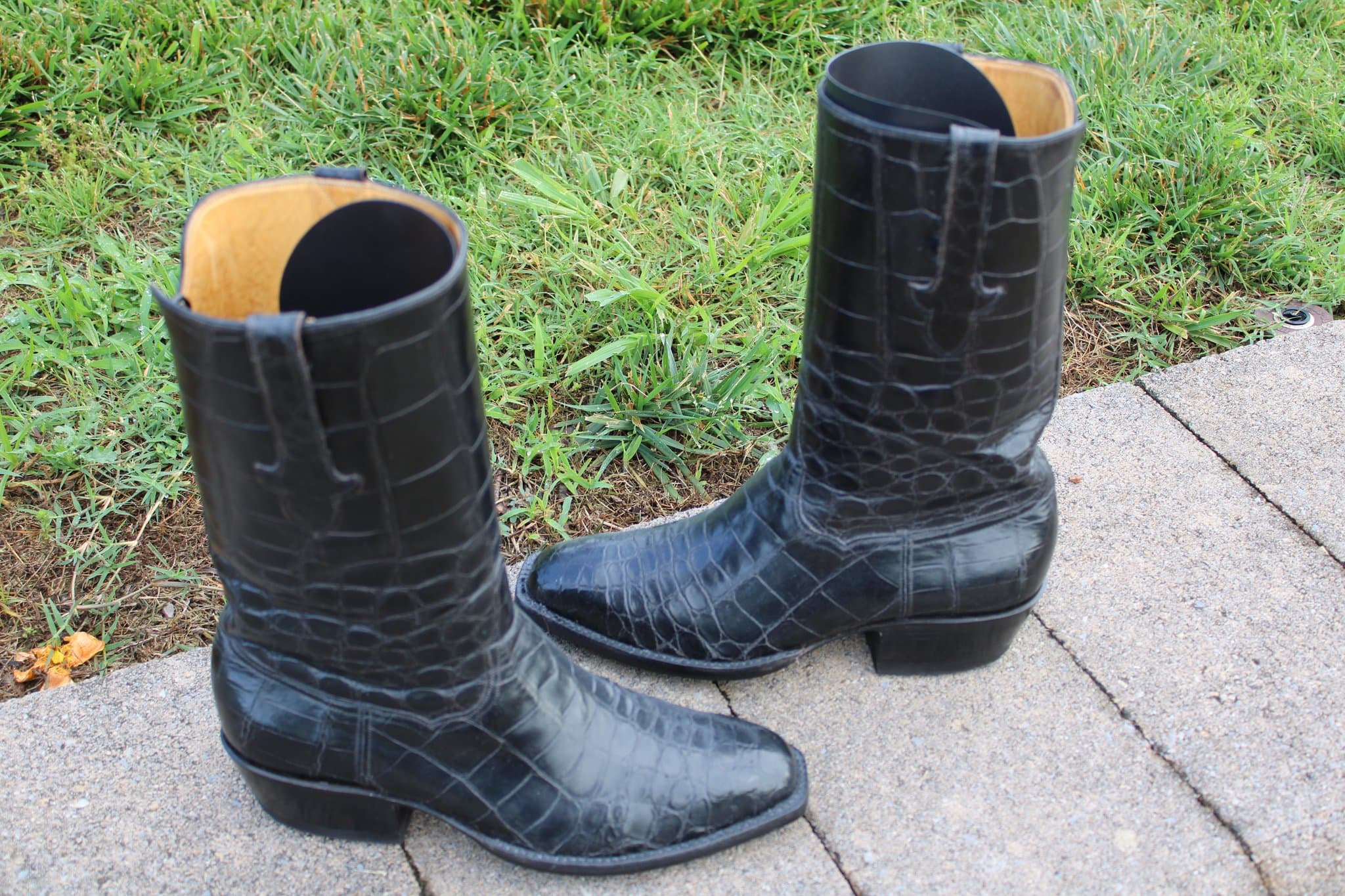 T.O. Stanley Full Alligator